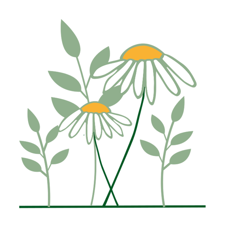 Giardino privato